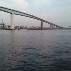 仕事帰りのちょい釣り